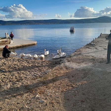 Apartamento Crancina Sveti Filip i Jakov Exterior foto